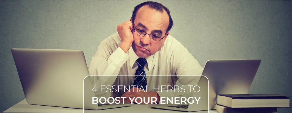 4 Essential Herbs To Boost Your Energy Level