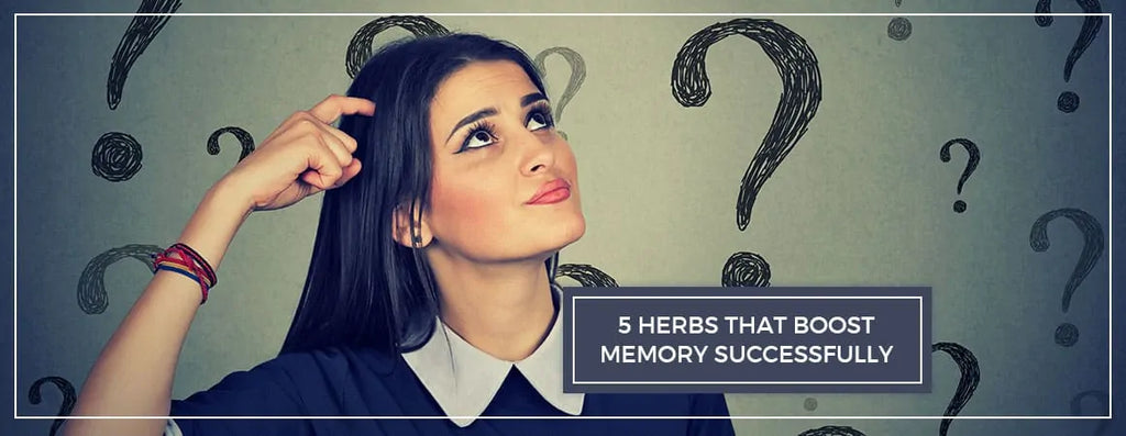 5 Beneficial Herbs That Boost Memory And Brain Power Successfully