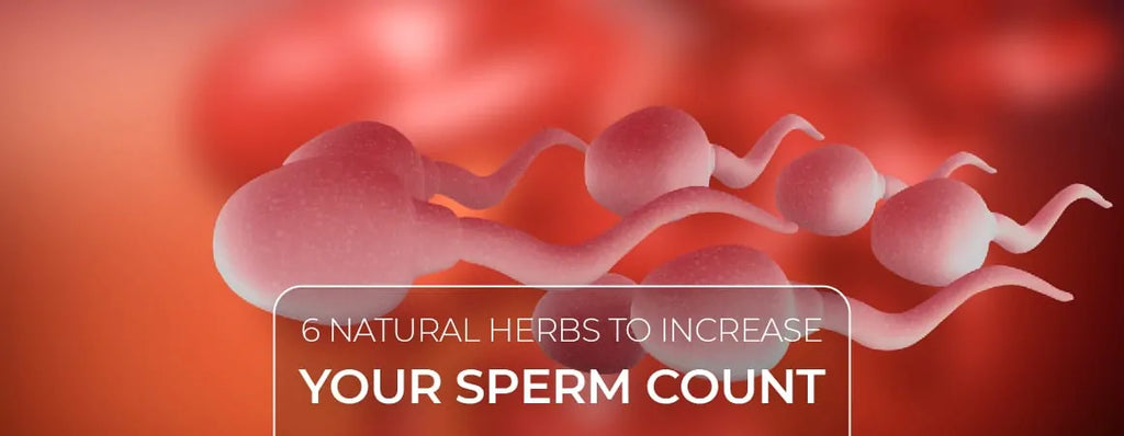 6 Natural Herbs to Increase Your Sperm Count