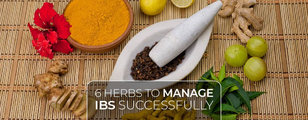 6 Incredible Ayurvedic Herbs to Manage Irritable Bowel Syndrome (IBS) Successfully