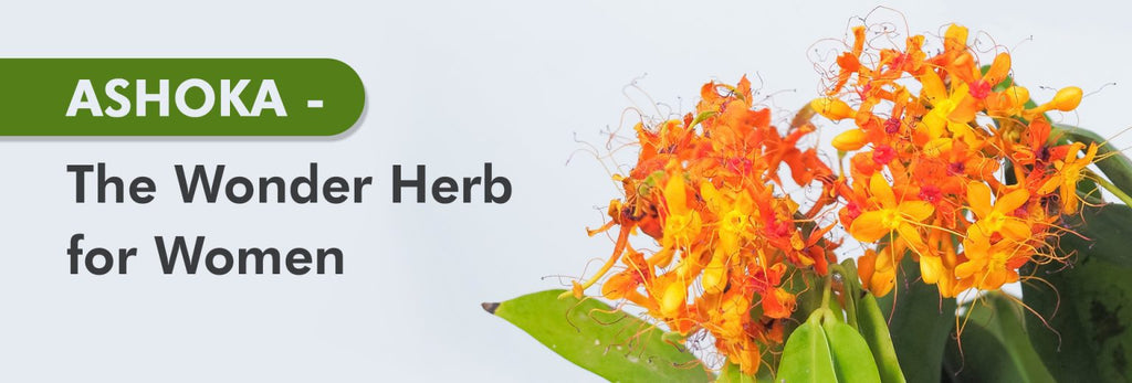 Ashoka- The wonder herb for women