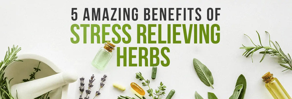5 amazing benefits of stress relieving herbs