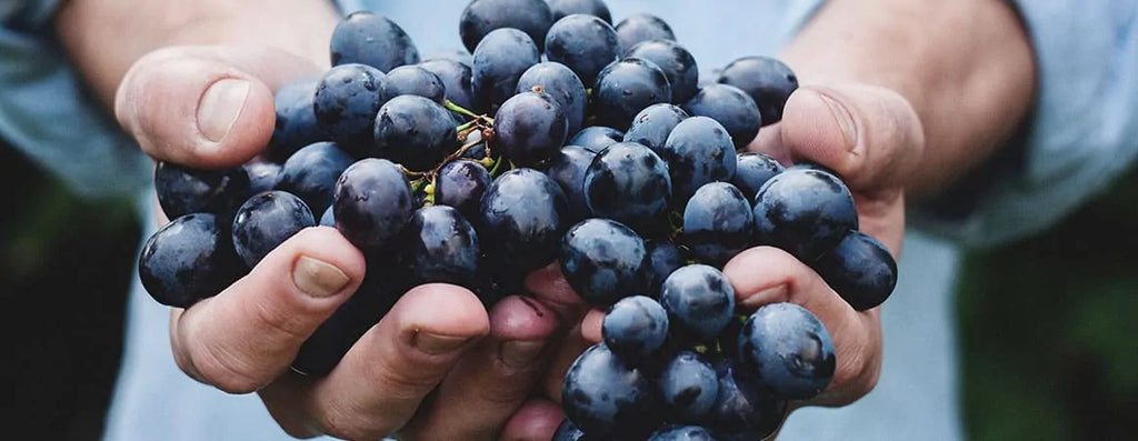 The Grape Escape