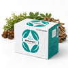 Rymanyl Capsule