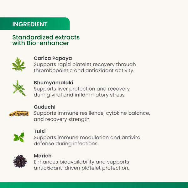 Plat – C