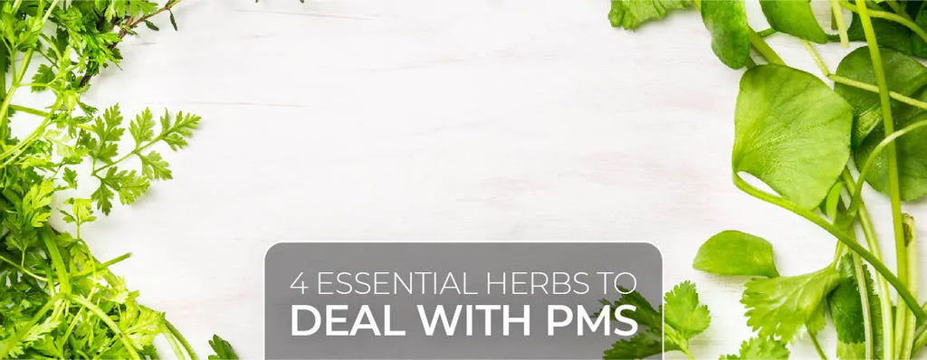 4 Essential Herbs to Deal With PMS