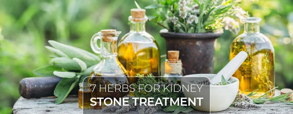 7 Ultimate Herbs For Kidney Stone Treatment