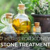 7 Ultimate Herbs For Kidney Stone Treatment