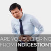 Are You Suffering from Indigestion? Improve digestive system