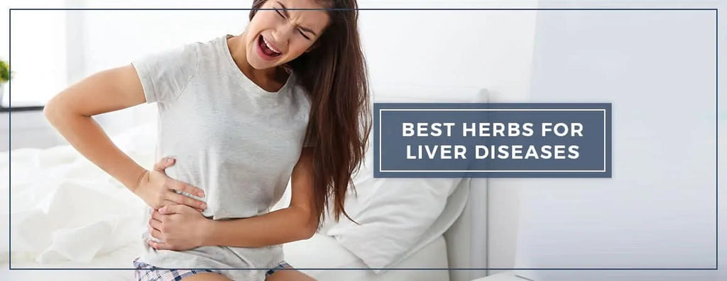 7 Ultimate Top Herbs For Liver Diseases By Charak