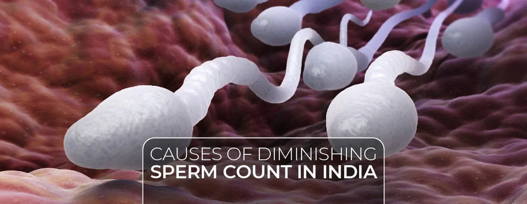 Causes of Diminishing Sperm Count in India