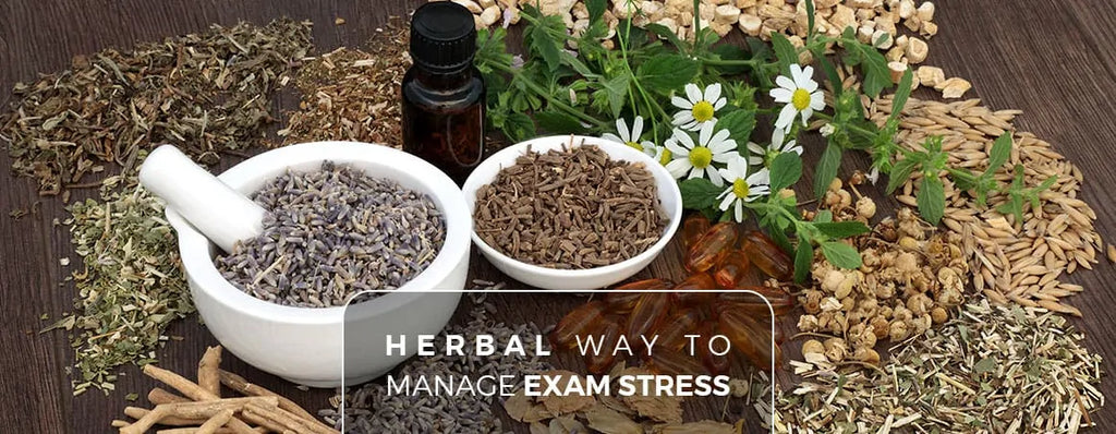 The Ultimate Herbal Way to Manage Exam Stress