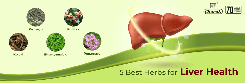 5 Best Herbs For Liver Health