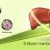5 Best Herbs For Liver Health