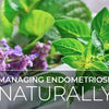 Benefits Of Managing Endometriosis with Herbs Naturally