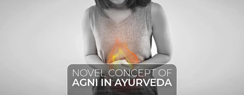 Novel Concept Of Agni In Ayurveda