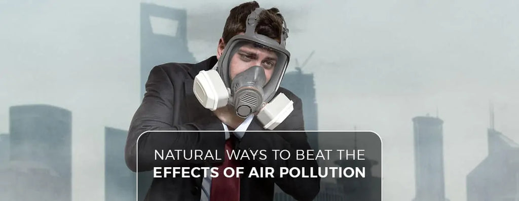 The ultimate Natural Ways to Beat The Effects Of Air Pollution