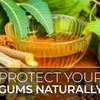 How to Protect Your Gums Naturally?