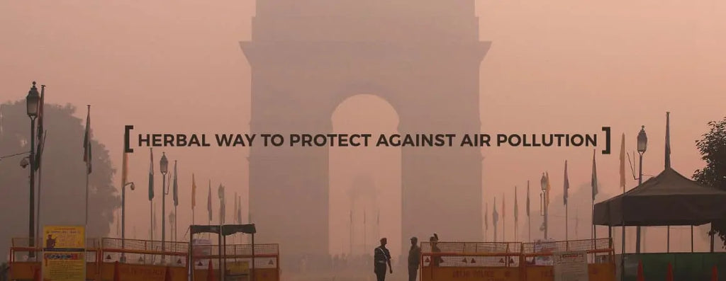 Herbal way to Protect against Air Pollution