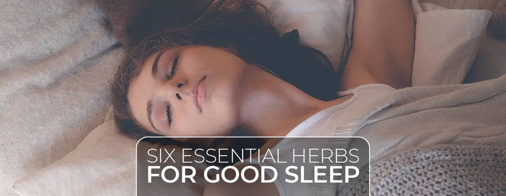 Ultimate 6 Essential Herbs for Good Sleep