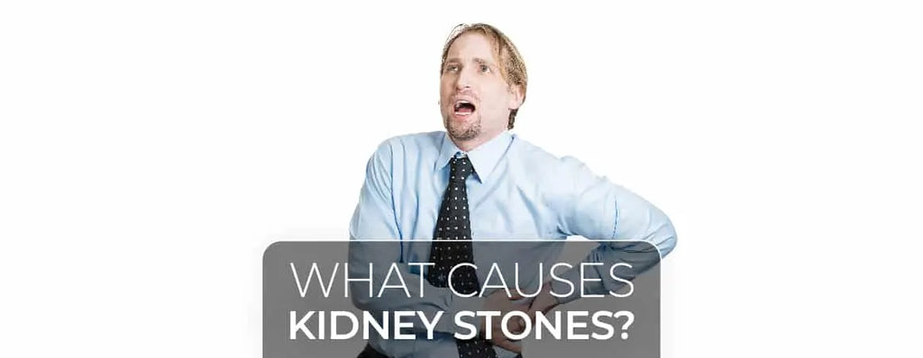 What Causes Kidney Stones? by Charak Pharma