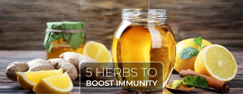 Worried About Cold and Flu? 5 Herbs To Boost Immunity