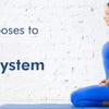 Simple Yoga poses to strengthen Immune system