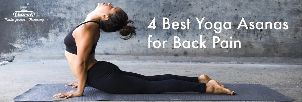 4 Best Yoga Asanas for Back Pain