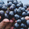 The Grape Escape
