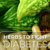 How To Fight With Diabetes Naturally Using Herbs?