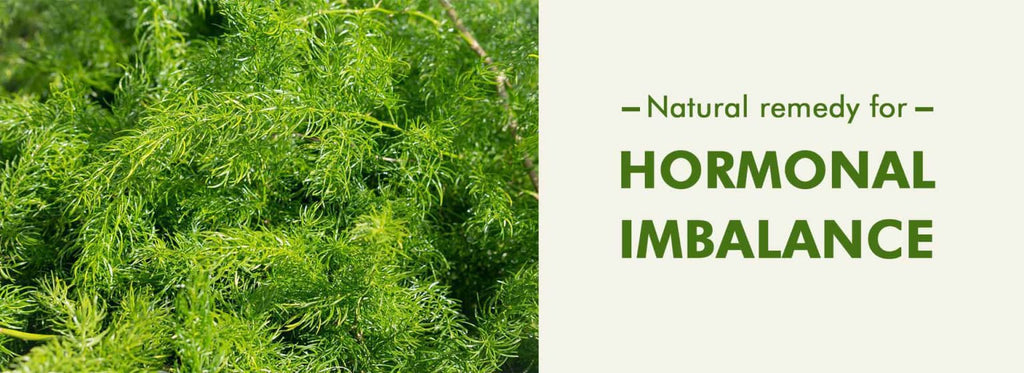 Natural remedy for Hormonal imbalance