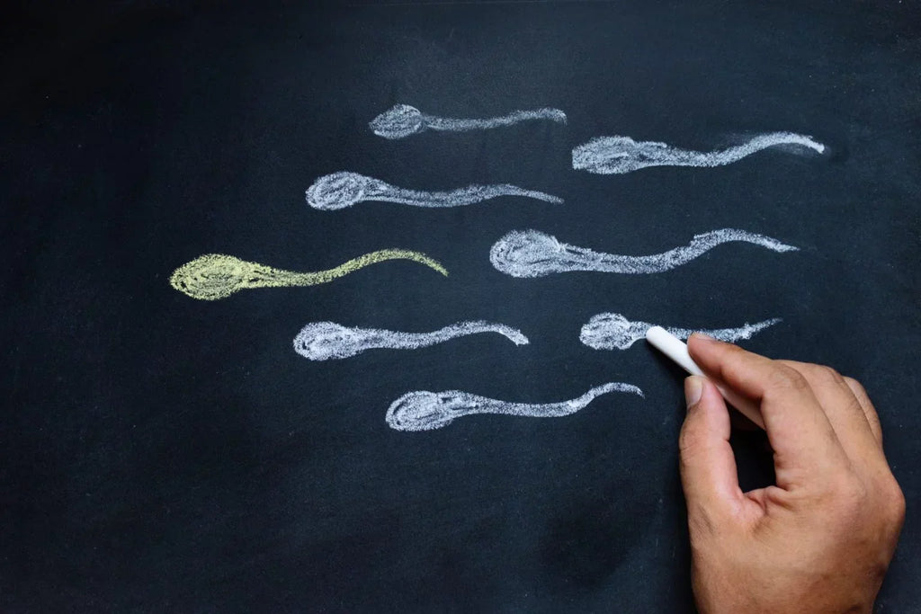 Natural Ways to Manage Male Infertility
