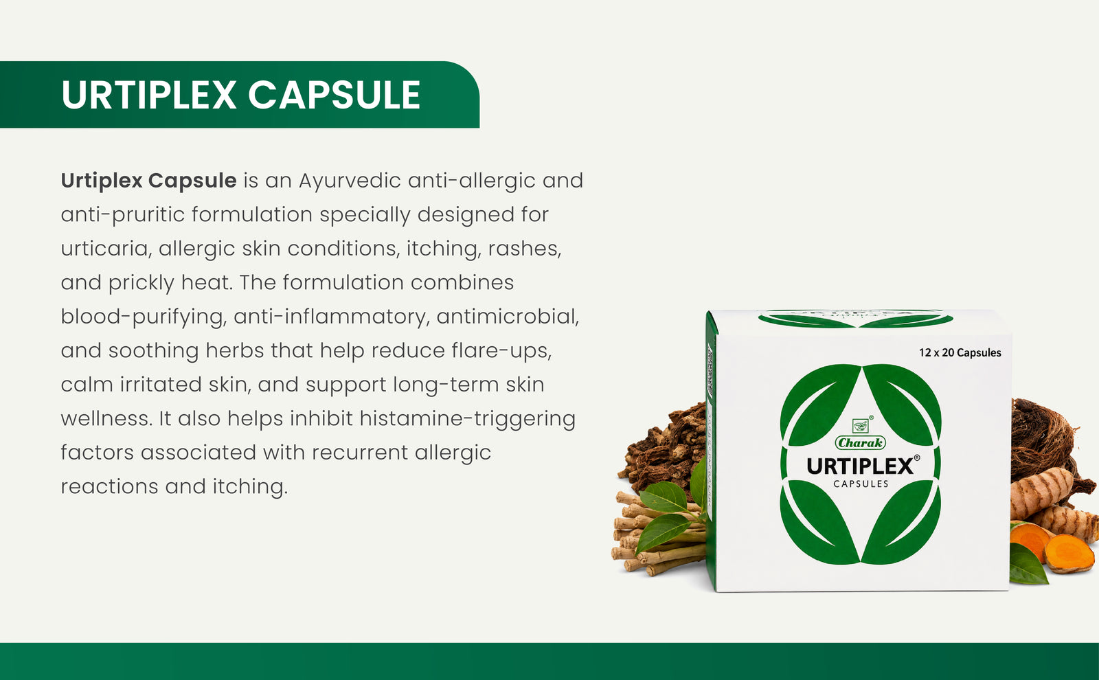 Description Banner