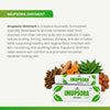 Imupsora Ointment