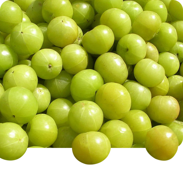 Amla
