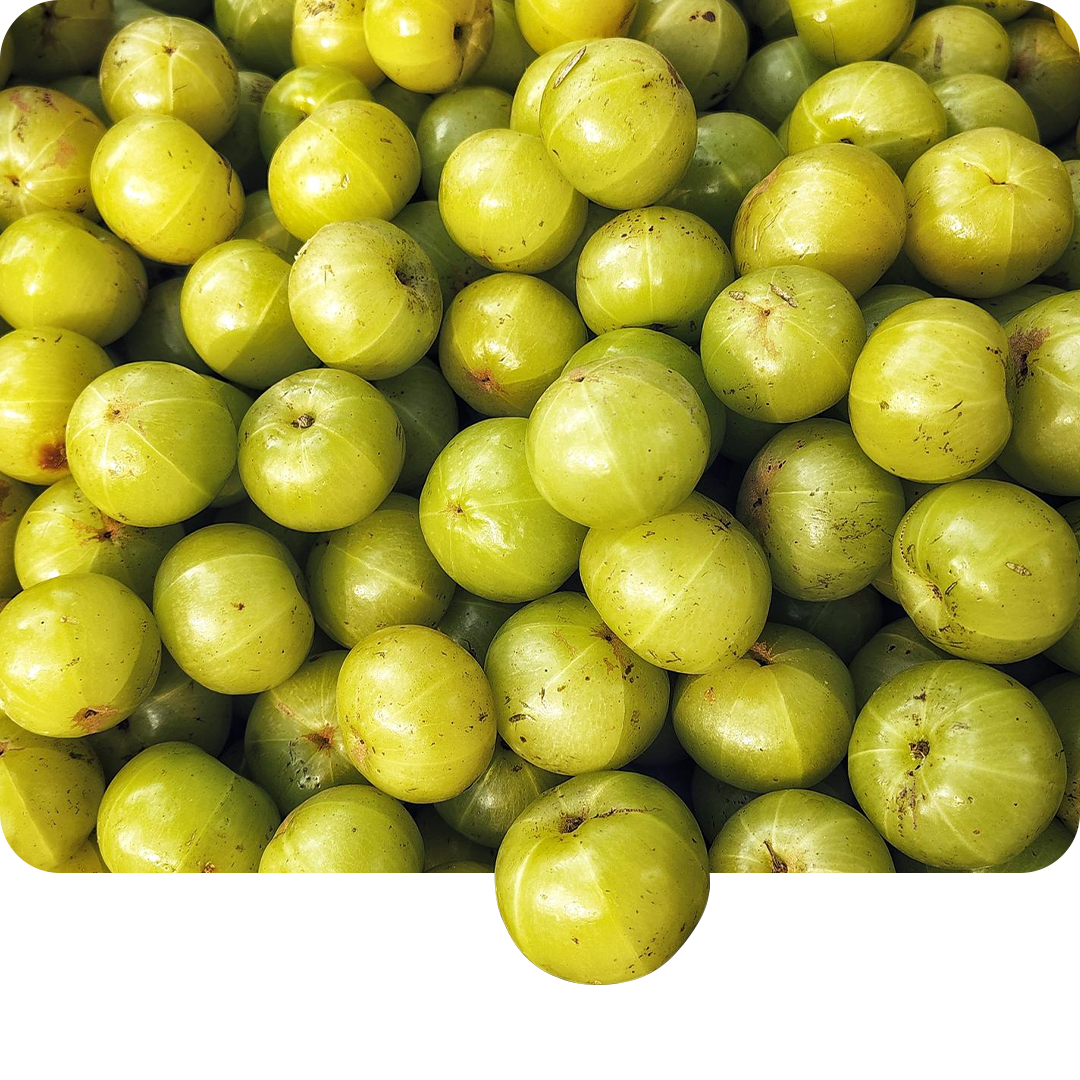 Amla
