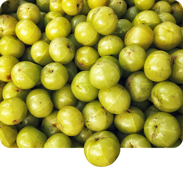Amalaki
