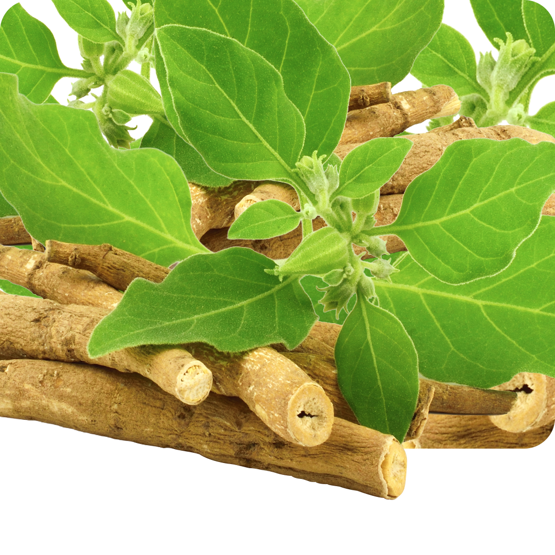 Ashwagandha