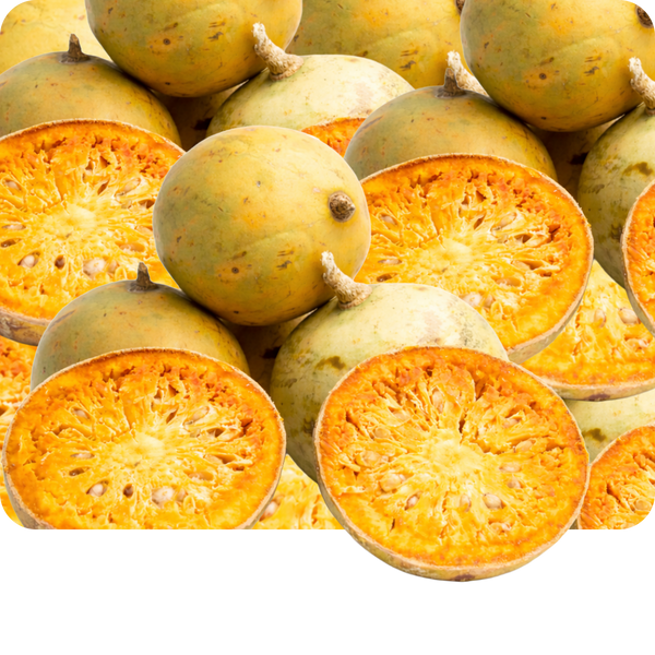 Bilwamajja