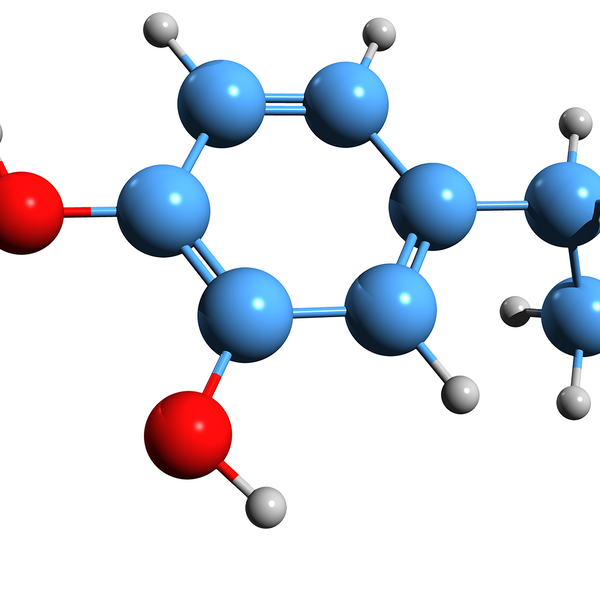 Chondroitin Sulphate 
