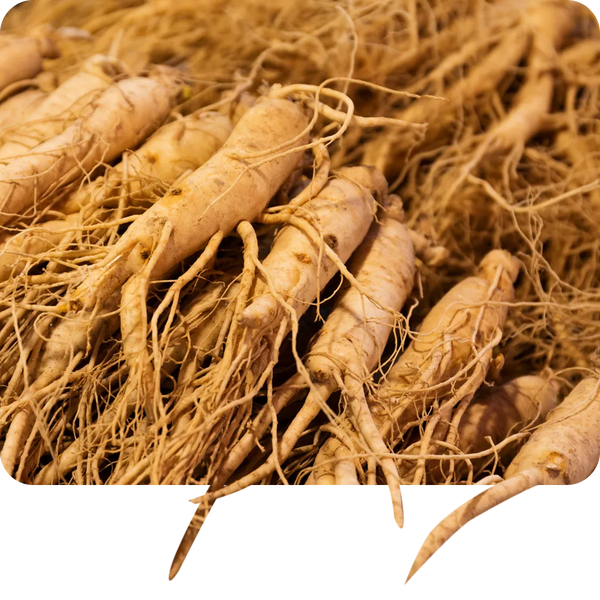 Ginseng