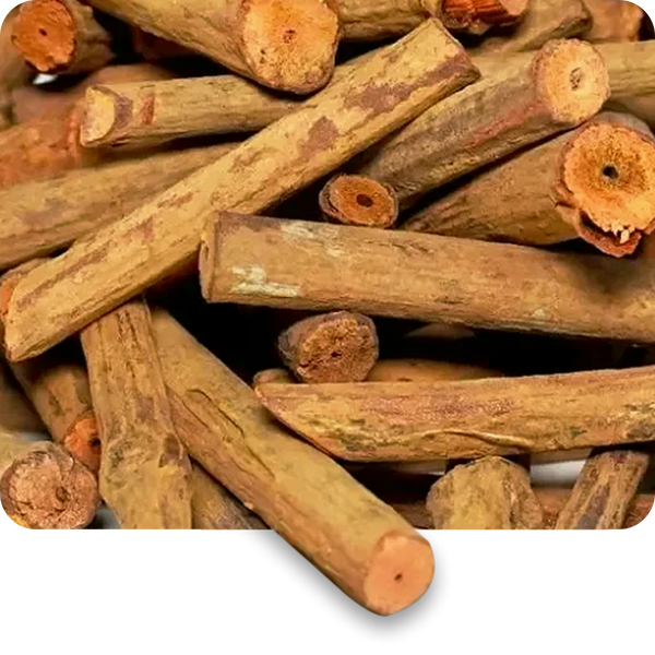 Manjistha