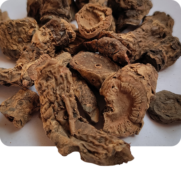 Pashanbheda