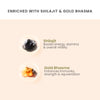 Vedistry Shilajit Gold