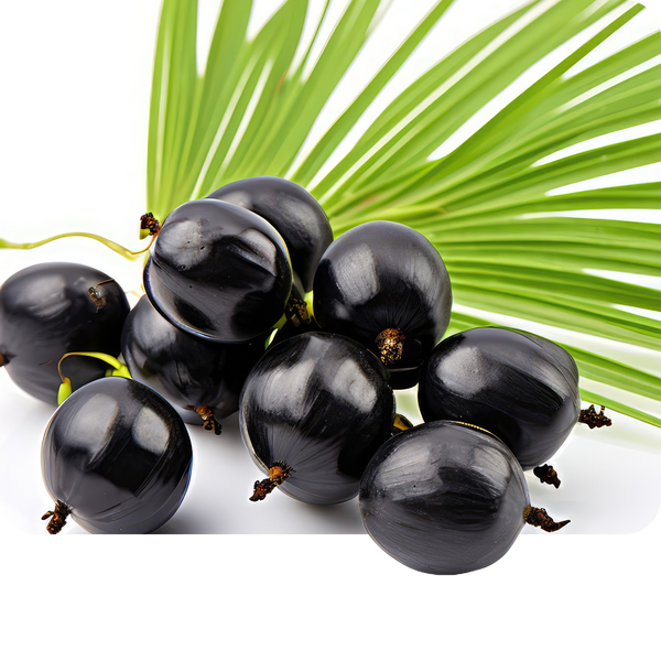 Saw palmetto