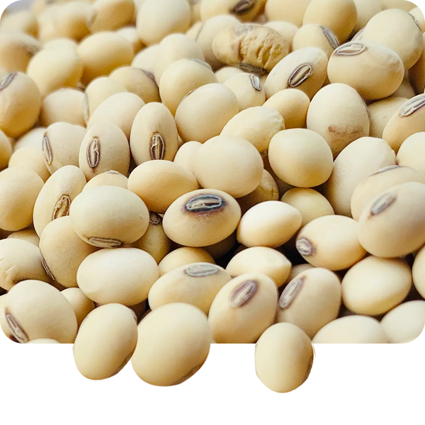 Soya
