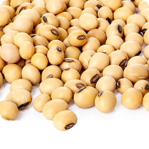 Soy Isoflavones