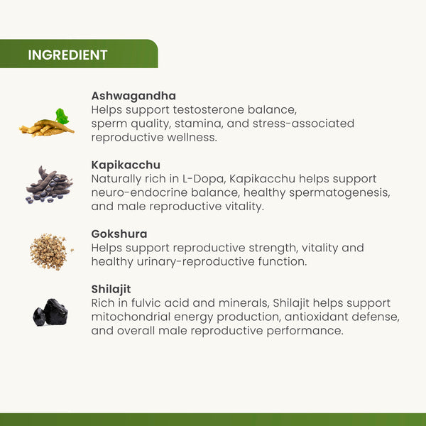 Addyzoa Capsule