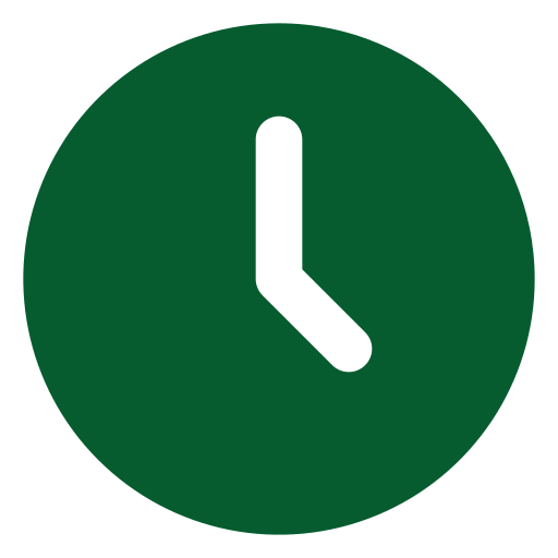Timing Icon