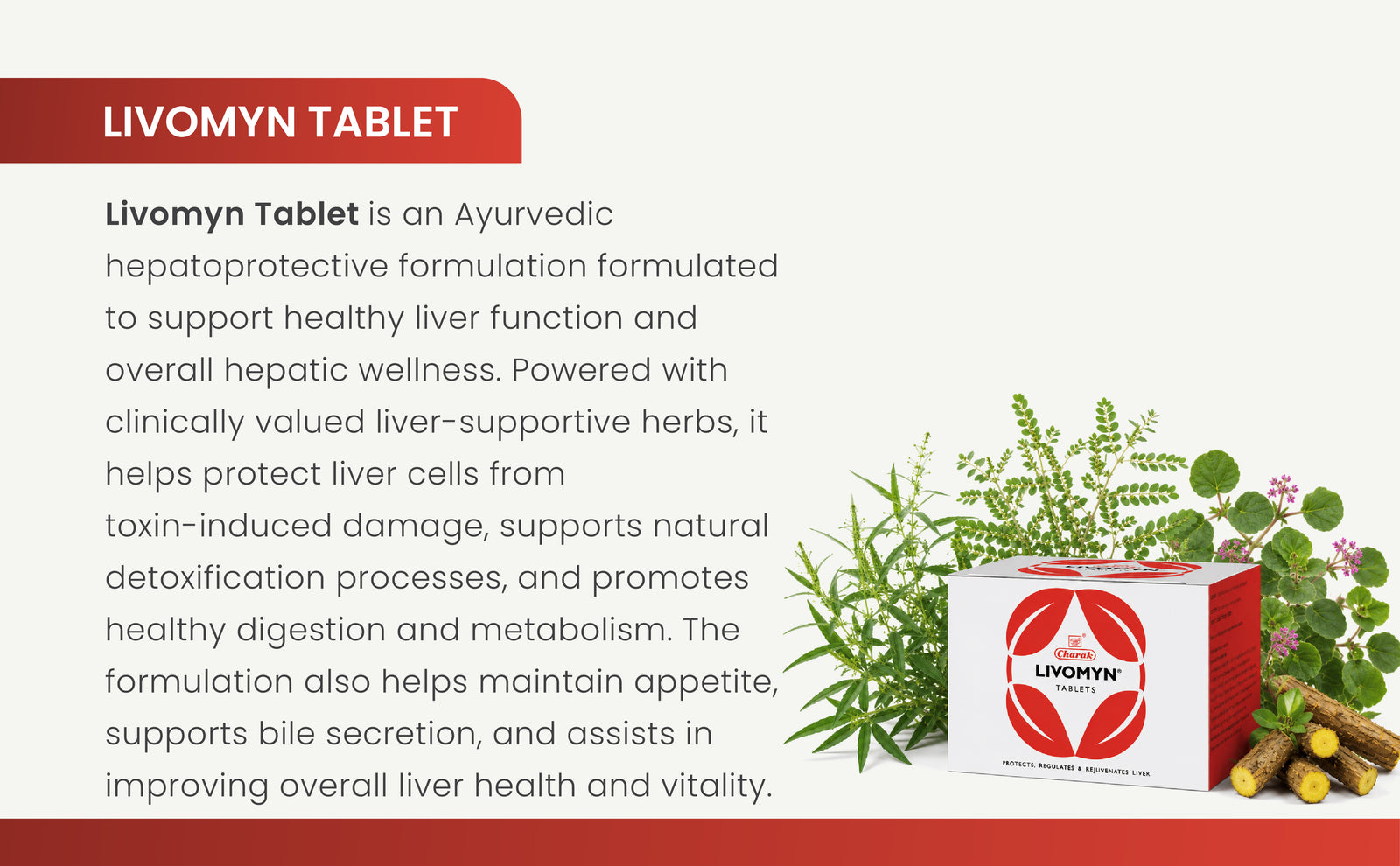 Description Banner